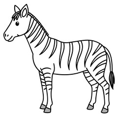 zebra vector illustration