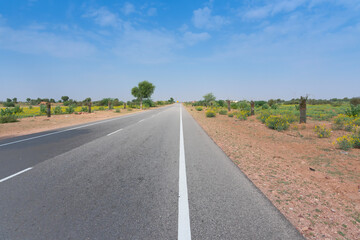 Empty concrete road passing through Thar desert with Mustard seeds plantation besides, near Jodhpur...