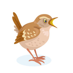 Small wren bird. Isolated on white background. Vector flat illustration.