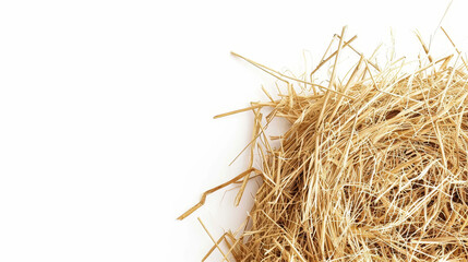 Hay bale with some straw against white background with space for text.