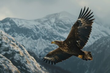 Majestic eagle in flight against a backdrop of snow-covered mountains, capturing the essence of freedom and the grandeur of wildlife.

