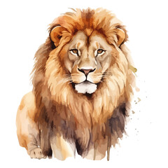 Watercolor vector of a face Lion, isolated on a white background, design art, drawing clipart, Illustration painting, Graphic logo, Lion vector 