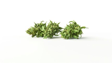 Fototapeta premium Cannabis Buds, Marijuana Plant, Weed