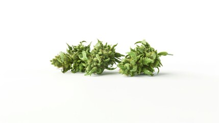 Cannabis Buds, Marijuana Plant, Weed