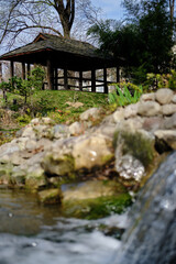Beautiful wooden gazebo in the spring park near the pond. Japanese Garden in Botanical Garden...