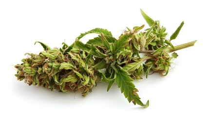 Cannabis Buds, Marijuana Plant, Weed