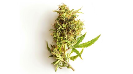 Cannabis Buds, Marijuana Plant, Weed