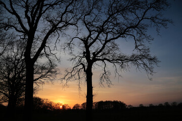 Fototapeta na wymiar Dramatischer Sonnenuntergang auf dem Land im Winter