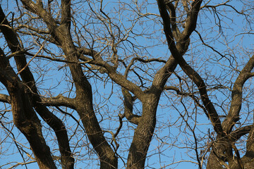 Wald Landschaften im Herbst in Deutschland