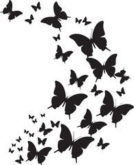 Set of Butterfly Black Silhouette on white background	