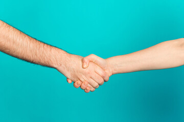 Photo of two female male arms shaking hands showing successful contract signing isolated turquoise color background