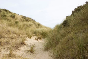Fotobehang Noordzee, Nederland the dunes landscape in Haamstede, Zeeland in the Netherlands