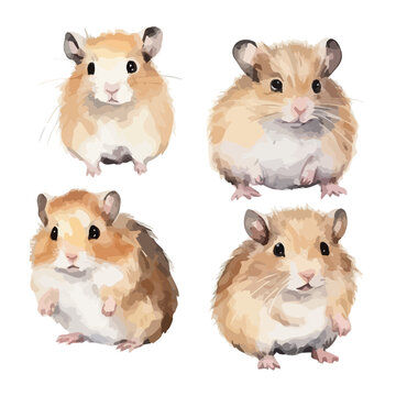 Watercolor clipart vector of a hamster(mouse), isolated on a white background, hamster vector, Illustration painting, Graphic logo, drawing design art