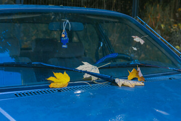 otoño automóvil azul con hojas amarillas