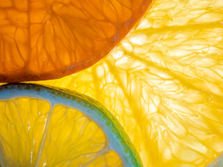 Citrus fruit slices on white background, top view. Closeup.
