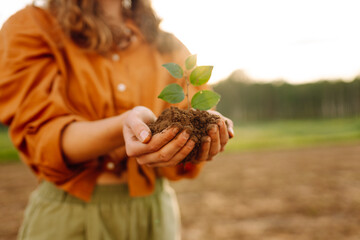Human hands holding green plant over nature background. Environment. Business or ecology concept.