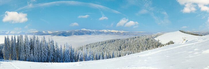 Winter calm mountain landscape with rime and snow covered spruce trees. Five shots stitch image.