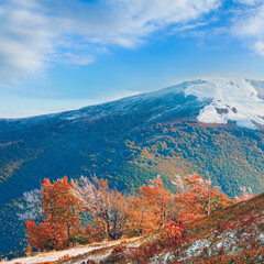 First winter snow and autumn colourful foliage on mountain