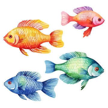 Watercolor drawing clipart of set fish, isolated on a white background, Illustration painting, fish vector, drawing, design art, clipart image, Graphic logo.