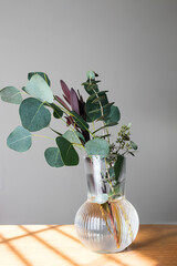 Branches of eucalyptus in a fluted glass vase, minimal home decor in natural light