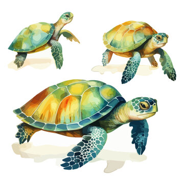 Watercolor Vector painting of sea turtle collection, isolated on a white background, sea turtle vector, sea turtle clipart, sea turtle art, sea turtle painting, sea turtle Graphic, drawing clipart.