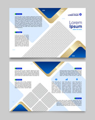 Professional Edge: Sleek Corporate Brochure Design