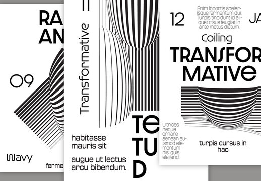 Flyer A4 Black and White Striped Abstract Futuristic Shape