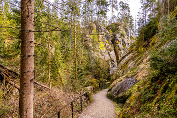 Eine frühlingshafte Wandertour durch das Kirnitzschtal in der Sächsische Schweiz - Sachsen - Deutschland