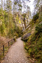 Eine frühlingshafte Wandertour durch das Kirnitzschtal in der Sächsische Schweiz - Sachsen - Deutschland
