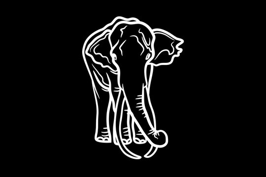Elephant Icon.Cute elephant cartoon outline icon. Cute baby elephant cartoon outline. - 75