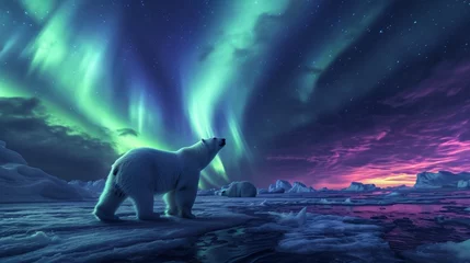  Polar bear in wild snow field with beautiful aurora northern lights in night sky with snow forest in winter. © rabbit75_fot