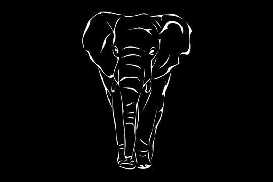 Elephant Icon.Cute elephant cartoon outline icon. Cute baby elephant cartoon outline. - 126