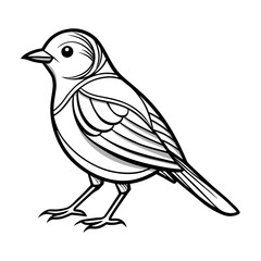 Song bird vector 