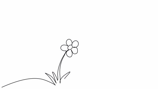 Flower. One line drawing animation with alpha channel.