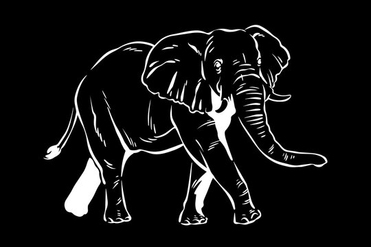 Elephant Icon.Cute elephant cartoon outline icon. Cute baby elephant cartoon outline. - 164