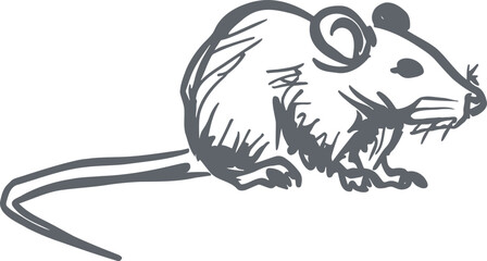 rat in a simple vector sketch drawing with outlines
