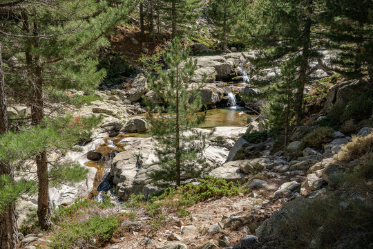 Restonica Tal, Flussbaden in Korsika