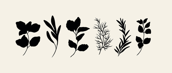 Flat vector herbs collection. Botanical illustration © Maria