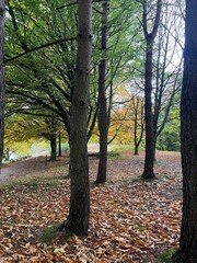 Fototapeta premium Escocia