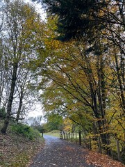 Fototapeta premium Escocia