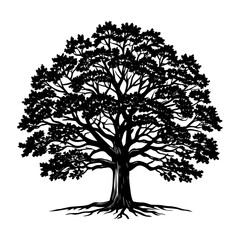 A Beacon of Strength: A Towering Oak Tree Silhouette Providing Shelter and Security - Illustration of Oak Tree - Vector of Oak Tree