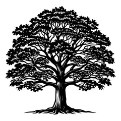 Obraz premium A Beacon of Strength: A Towering Oak Tree Silhouette Providing Shelter and Security - Illustration of Oak Tree - Vector of Oak Tree