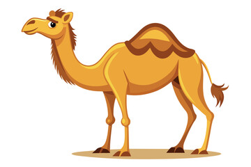 camel in desert