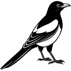 magpie silhouette vector illustration svg file
