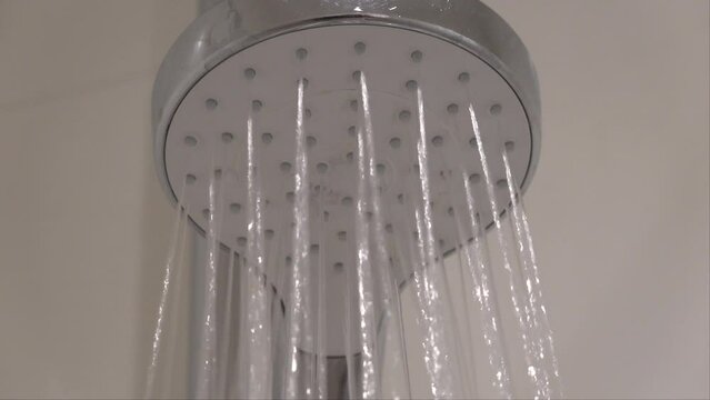 A domestic shower head with running water