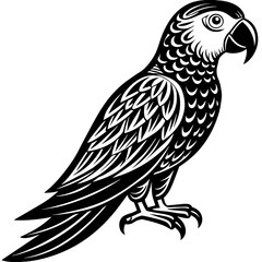 Obraz premium parrot silhouette vector illustration svg file 