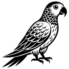 parrot  silhouette vector illustration svg file
