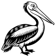 pelican silhouette vector illustration svg file

