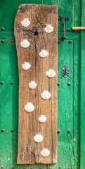 board with shells as a symbol of the Camino de Santiago on a green wooden door