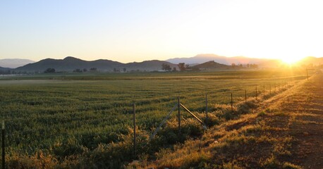 Beautiful country rural field landscape with sun rising and mountains in background